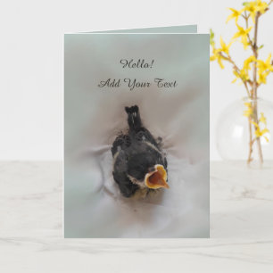 Tidi my Bird the Parus Major Karte