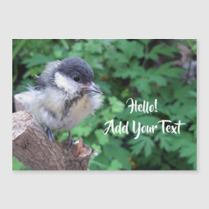 Tidi my Bird the Parus major Magnetic Card Magnetkarte