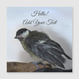 Tidi my Bird the Parus major Magnetic Card Magnetkarte