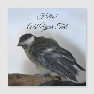 Tidi my Bird the Parus major Magnetic Card Magnetkarte