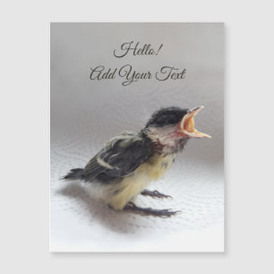 Tidi my Bird the Parus major Magnetic Card Magnetkarte