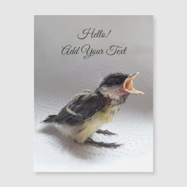 Tidi my Bird the Parus major Magnetic Card Magnetkarte (Vorderseite)