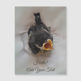 Tidi my Bird the Parus major Magnetic Card Magnetkarte