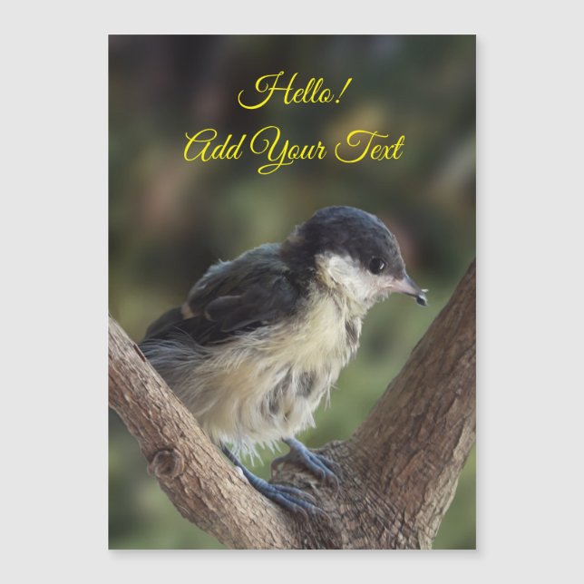 Tidi my Bird the Parus major Magnetic Card Magnetkarte (Vorderseite)