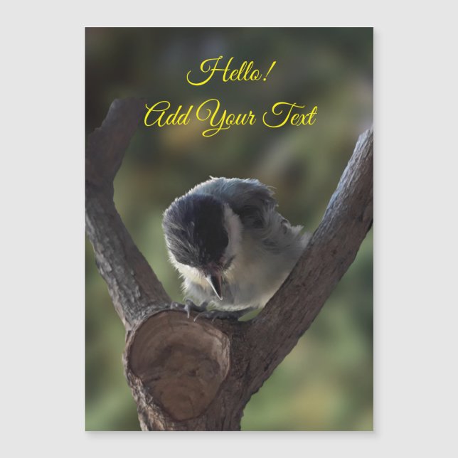 Tidi my Bird the Parus major Magnetic Card Magnetkarte (Vorderseite)