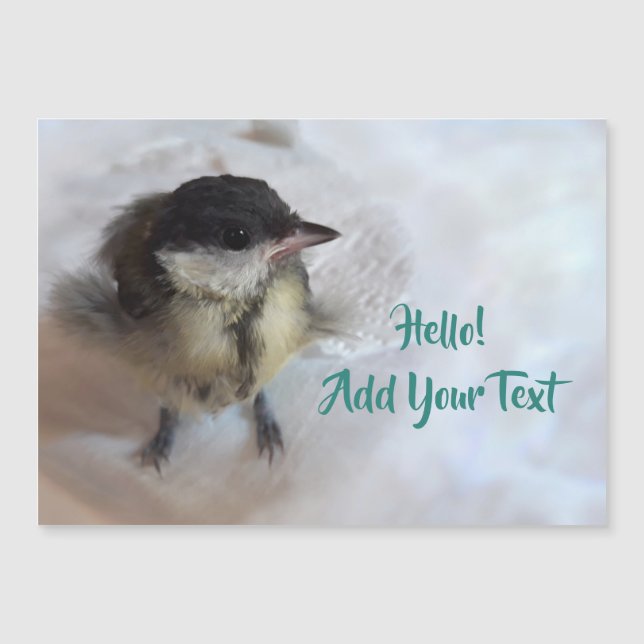 Tidi my Bird the Parus major Magnetic Card Magnetkarte (Vorderseite)