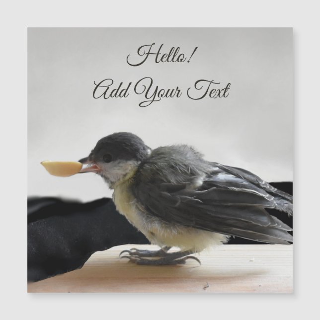 Tidi my Bird the Parus major Magnetic Card Magnetkarte (Vorderseite)