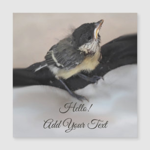 Tidi my Bird the Parus major Magnetic Card Magnetkarte