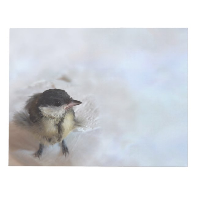 Tidi my Bird the Parus Major Notizblock (Vorderseite)