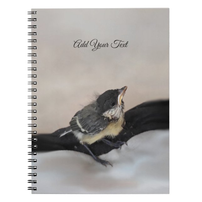 Tidi my Bird the Parus Major Notizblock (Vorderseite)