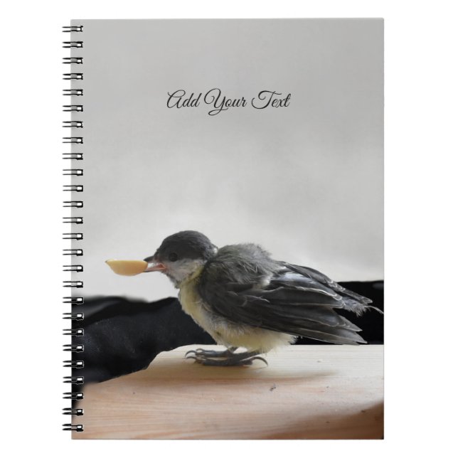 Tidi my Bird the Parus Major Notizblock (Vorderseite)