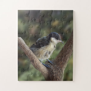 Tidi my Bird the Parus Major Puzzle