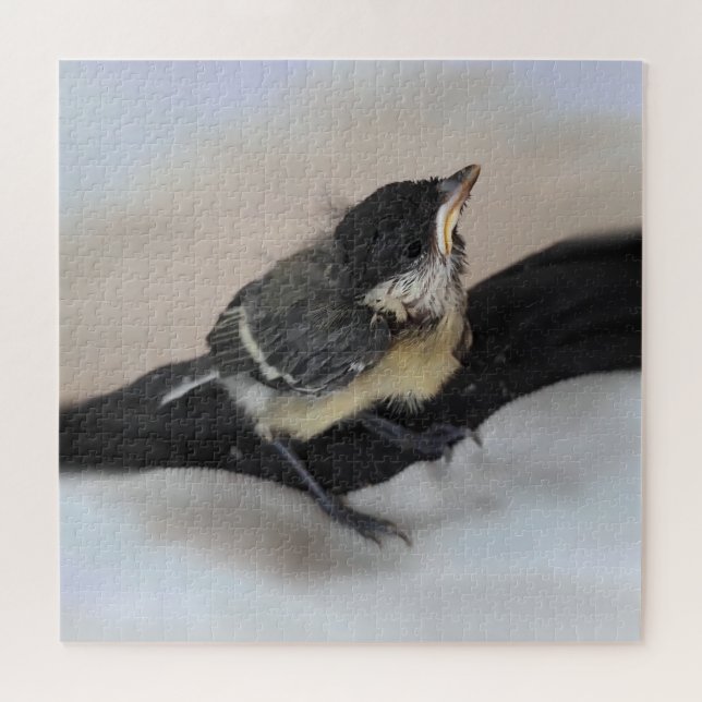 Tidi my Bird the Parus Major Puzzle (Horizontal)
