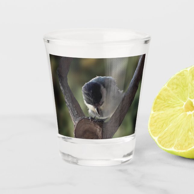 Tidi my Bird the Parus Major Schnapsglas (Vorderseite)