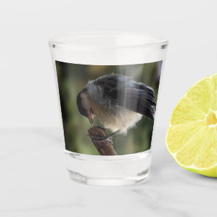 Tidi my Bird the Parus Major Schnapsglas