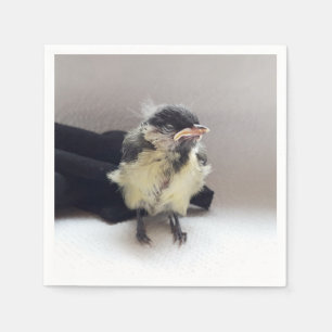 Tidi my Bird the Parus Major Serviette