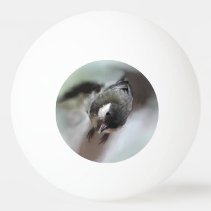 Tidi my Bird the Parus Major Tischtennisball