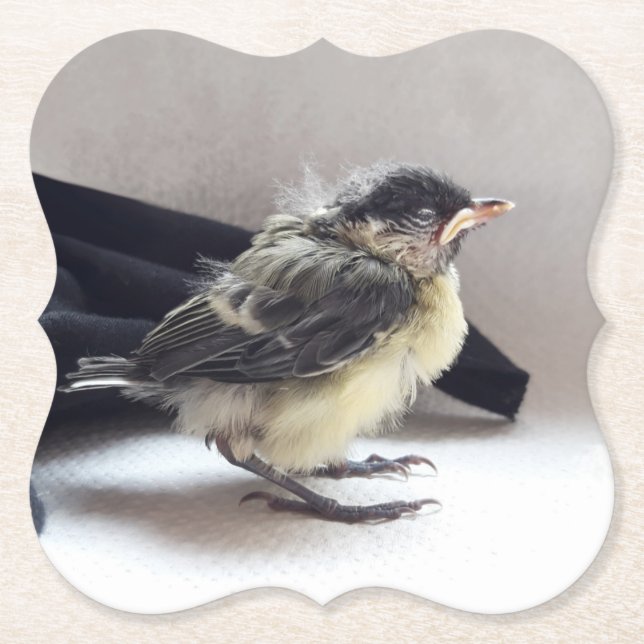 Tidi my Bird the Parus Major Untersetzer (Vorderseite)