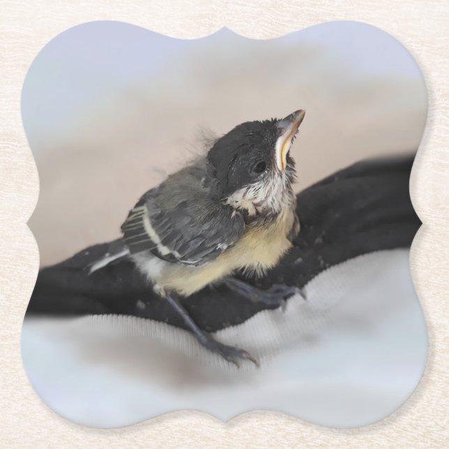 Tidi my Bird the Parus Major Untersetzer (Vorderseite)