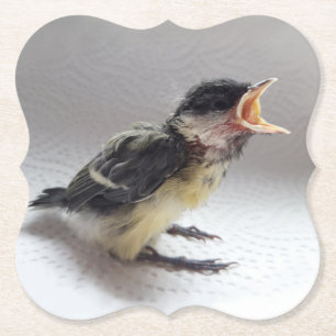Tidi my Bird the Parus Major Untersetzer