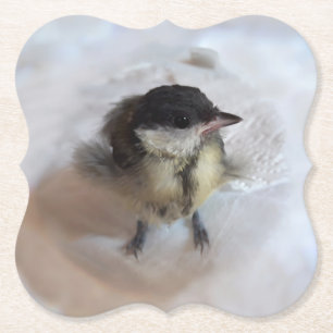 Tidi my Bird the Parus Major Untersetzer