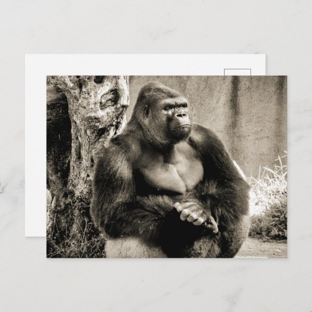 TIEF GEDANKTE Postkarte (Vorne/Hinten)