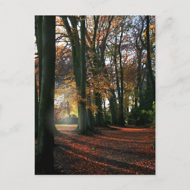 Tief im Herzen Postkarte (Vorderseite)