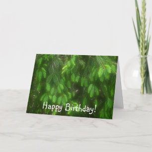 tief in den Kiefern zum Geburtstag Karte