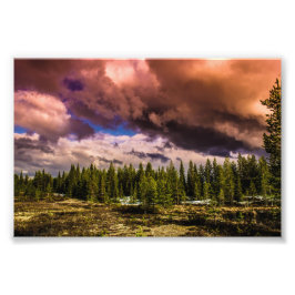 Tief in den nördlichen Wäldern Fotodruck