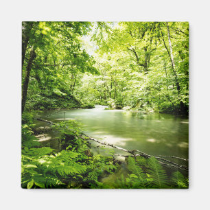 Tief in den Wald Magnet