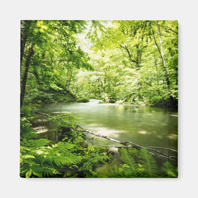 tief in den Wald Magnet (Vorne)