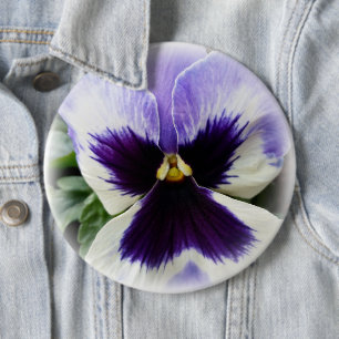 tief lila auf weiße Pansie Button