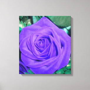 Tief Lila Rose ummantelte Canvas Leinwanddruck