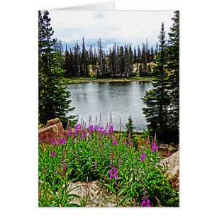 Tief rosa Blume am See, blau innen