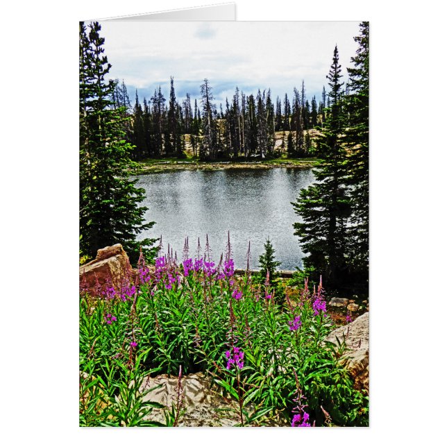 Tief rosa Blume am See, blau innen (Vorne)