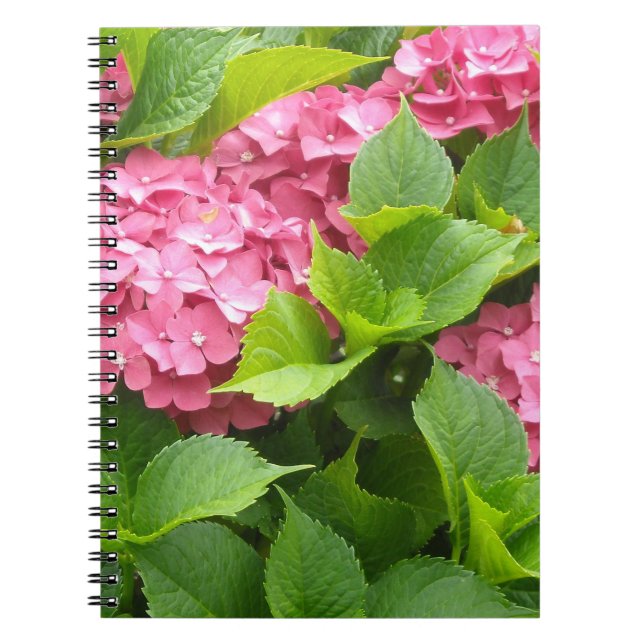 Tief rosa Hydrangeas Notizblock (Vorderseite)