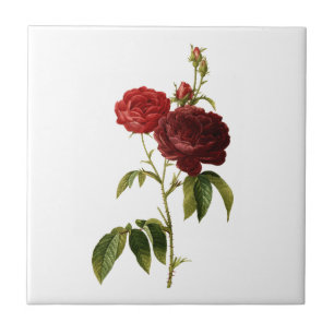 Tief rote Vintage Rose malen Fliese