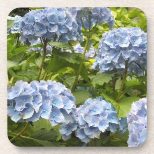 Tiefblaue Hortensien Untersetzer