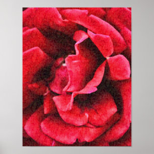 Tiefdruckkunst Rote Rose Fotografieren Poster