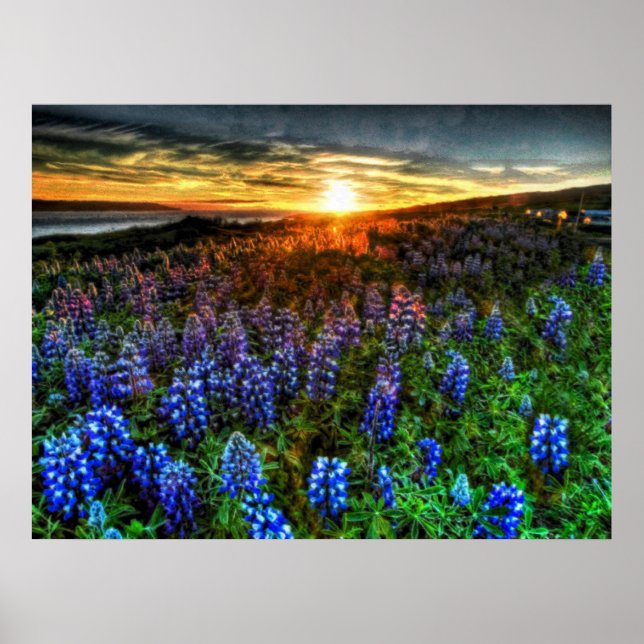 Tiefe 58 poster (Vorne)