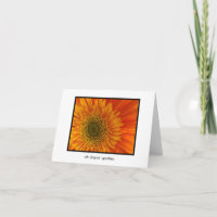 Tiefe Beileid Vibrannt Orange Gerbera Daisy