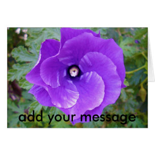 tiefe Blume des Lila Hibiskus,