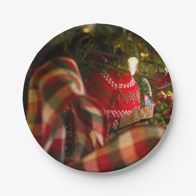 Tiefe eines Weihnachtsbaumes Pappteller (Vorderseite)