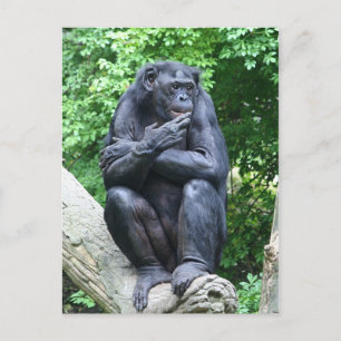 Tiefe Gedanken Postkarte
