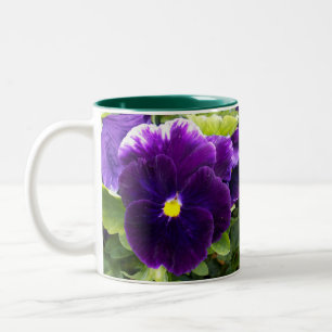 tiefe Lila Pansy, Zweifarbige Tasse