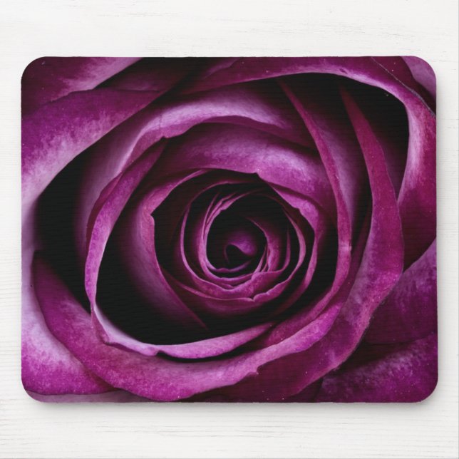 Tiefe Lila Rose Mousepad (Vorne)