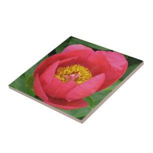 "TIEFE PINKSPIELE MIT GOLDZENTRUM" FLIESE