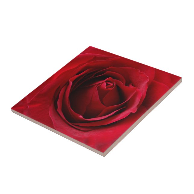 tiefe rote Rose Fliese (Seite)