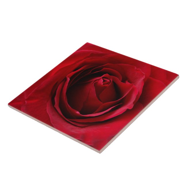 tiefe rote Rose Fliese (Seite)