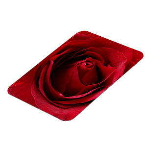 tiefe rote Rose Magnet
